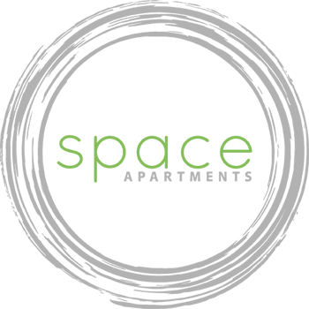 space-logo